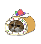 donnobbom2021.may（個別スタンプ：12）