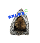 donnobbom2021.may（個別スタンプ：13）