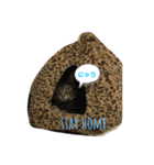 donnobbom2021.may（個別スタンプ：14）