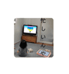 おしぼりスタンプ3（個別スタンプ：12）