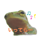 庭のカエル（個別スタンプ：7）
