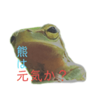 庭のカエル（個別スタンプ：14）