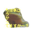 庭のカエル（個別スタンプ：15）