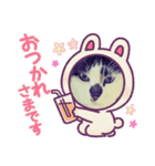 どうぶつ 猫（個別スタンプ：2）