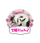 どうぶつ 猫（個別スタンプ：4）