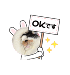 どうぶつ 猫（個別スタンプ：7）