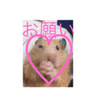 使えんじゃん（個別スタンプ：11）