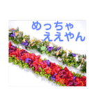 ハワイアン・リボンレイ 大阪弁編（個別スタンプ：9）