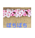 ハワイアン・リボンレイ 大阪弁編（個別スタンプ：22）