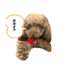 ちょびさんだよ（個別スタンプ：1）
