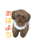 ちょびさんだよ（個別スタンプ：10）