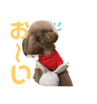 ちょびさんだよ（個別スタンプ：11）