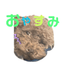 ちょびさんだよ（個別スタンプ：14）