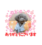 ちょびさんだよ（個別スタンプ：24）