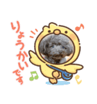 ちょびさんだよ（個別スタンプ：26）