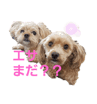 どらむぎスタンプ（個別スタンプ：1）