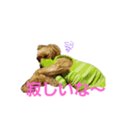 どらむぎスタンプ（個別スタンプ：4）