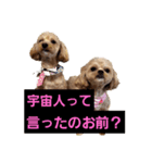どらむぎスタンプ（個別スタンプ：6）