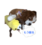 babychoco1（個別スタンプ：3）
