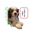 babychoco1（個別スタンプ：8）