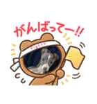 マッシュ選手（個別スタンプ：6）