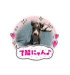 マッシュ選手（個別スタンプ：12）