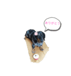 レオちゃんのかわいいスタンプ3（個別スタンプ：5）