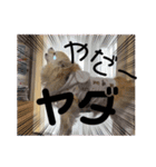 クラインくんのお話4（個別スタンプ：1）