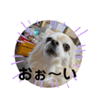 クラインくんのお話4（個別スタンプ：3）