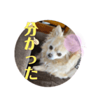 クラインくんのお話4（個別スタンプ：4）
