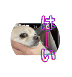 クラインくんのお話4（個別スタンプ：6）