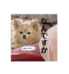 クラインくんのお話4（個別スタンプ：12）
