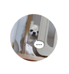 クラインくんのお話4（個別スタンプ：14）