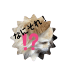 クラインくんのお話4（個別スタンプ：15）