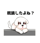 マルチーズのおまーる（個別スタンプ：5）