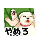 マルチーズのおまーる（個別スタンプ：8）