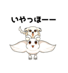マルチーズのおまーる（個別スタンプ：14）