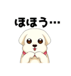 マルチーズのおまーる（個別スタンプ：17）