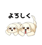 マルチーズのおまーる（個別スタンプ：18）