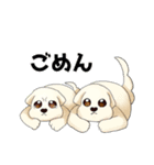 マルチーズのおまーる（個別スタンプ：19）