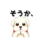 マルチーズのおまーる（個別スタンプ：28）