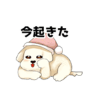マルチーズのおまーる（個別スタンプ：29）