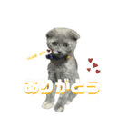 taeri 2（個別スタンプ：15）