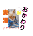 笹かま猫のハク（個別スタンプ：10）
