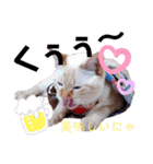 笹かま猫のハク（個別スタンプ：12）