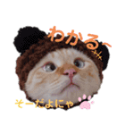 笹かま猫のハク（個別スタンプ：17）