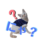 笹かま猫のハク（個別スタンプ：23）