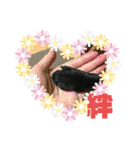黒パグ飴ちゃんの日常（個別スタンプ：31）