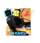 黒パグ飴ちゃんの日常（個別スタンプ：32）