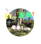 黒パグ飴ちゃんの日常（個別スタンプ：39）